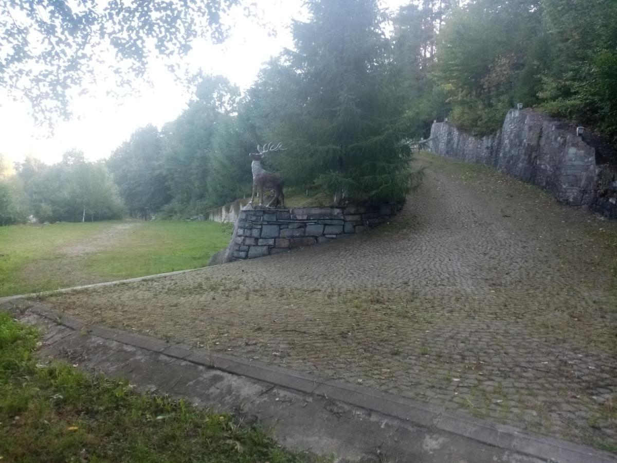 Садиба Федорчуків За рікою Шешоры Экстерьер фото