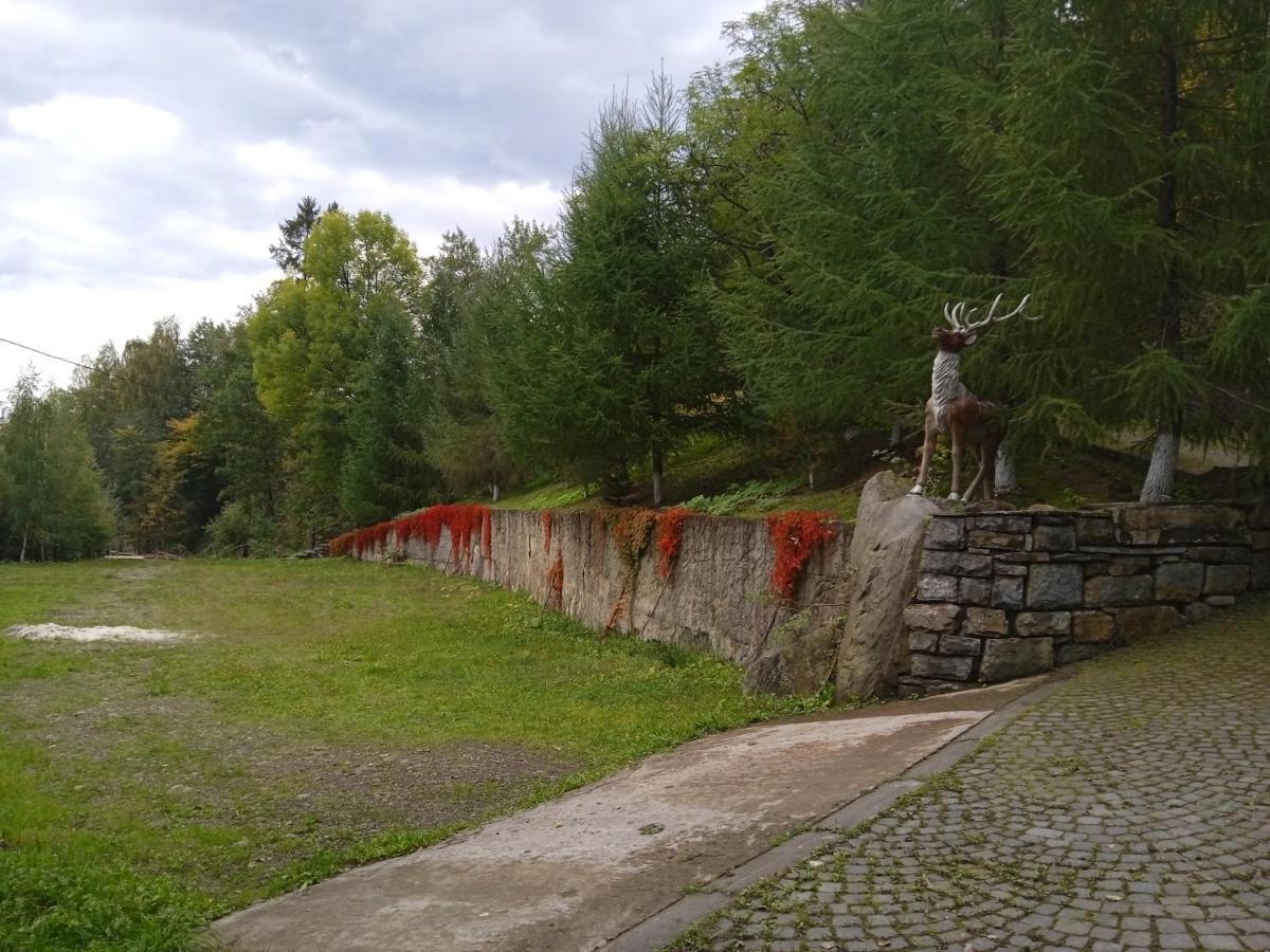 Садиба Федорчуків За рікою Шешоры Экстерьер фото
