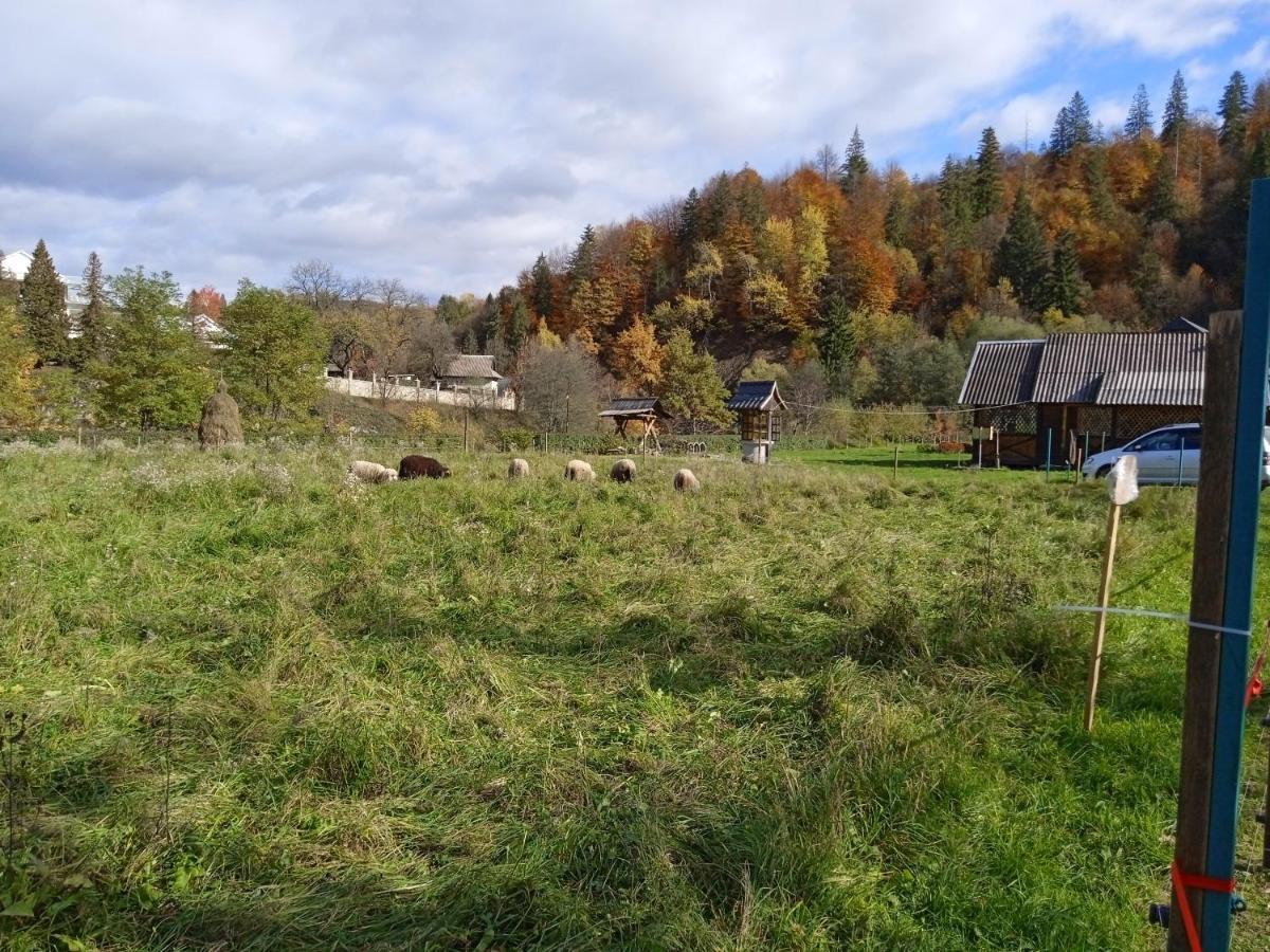 Садиба Федорчуків За рікою Шешоры Экстерьер фото